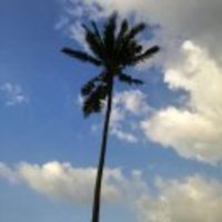 6e60cf9345a8ea928af5f4a08ebf2ac661554e9c