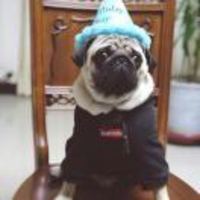 1b1f557fa1d2ce9e81788fc8c4490b0f17e09c36