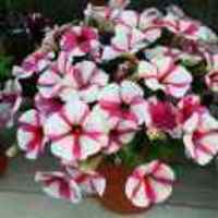 546c15ce1199056144ad38a37d78d9235759f3a0