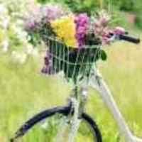 E3e02b9f99035cf9eeb18316bf9164cccdba54d8