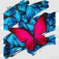 A3bf02fa7c9be53fd403023605bbe35cca9da54f