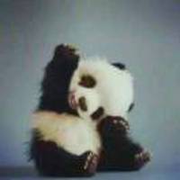 C88c67fcb4e088a8d3e217bb49d70f7c678a3f56