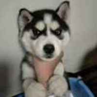 6c2c4a0167a9061810294ad2336a7b48888cb9ed