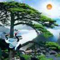 7f052f657043c93c3f20ff9d52d7f1711781b370