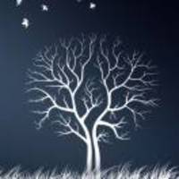 2afe0ad169fd329a5d8c042d34f7723601efe203