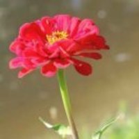 Cfbed47a57a02bb0375d9abcb5a78c0b529e7e0a